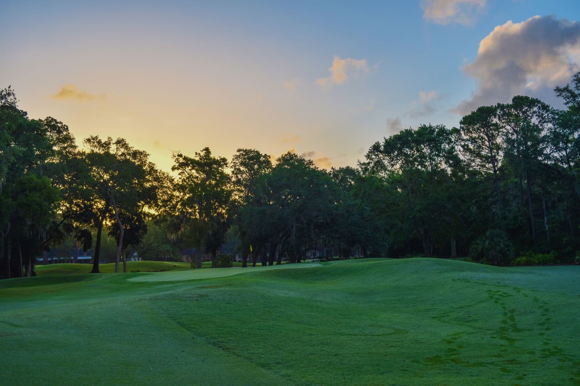 A golf course fairway at sunrise, warm light behind the trees